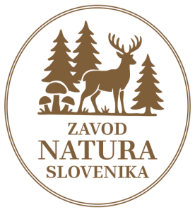 Logo:  Doživite čarobni svet gob! 