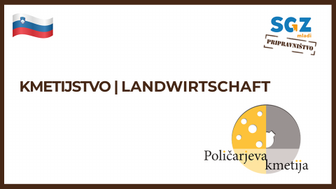 Slika: Poličarjeva kmetija