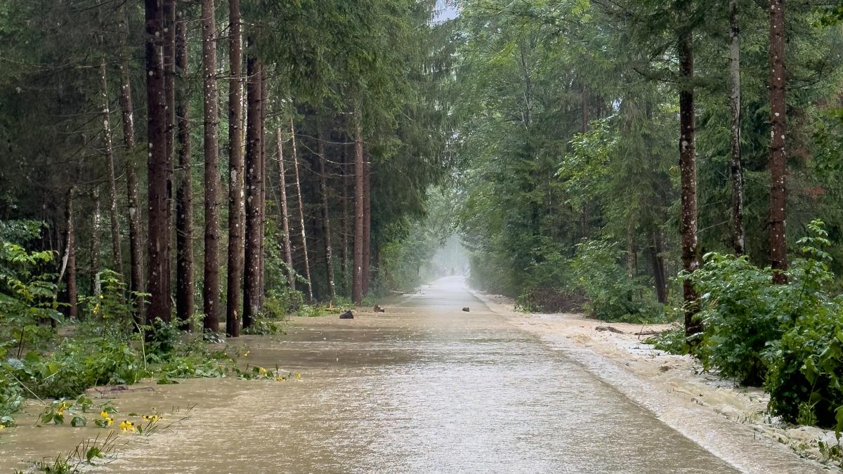 Bild: Naturkatastrophe: Überschwemmungen in Österreich und Slowenien 