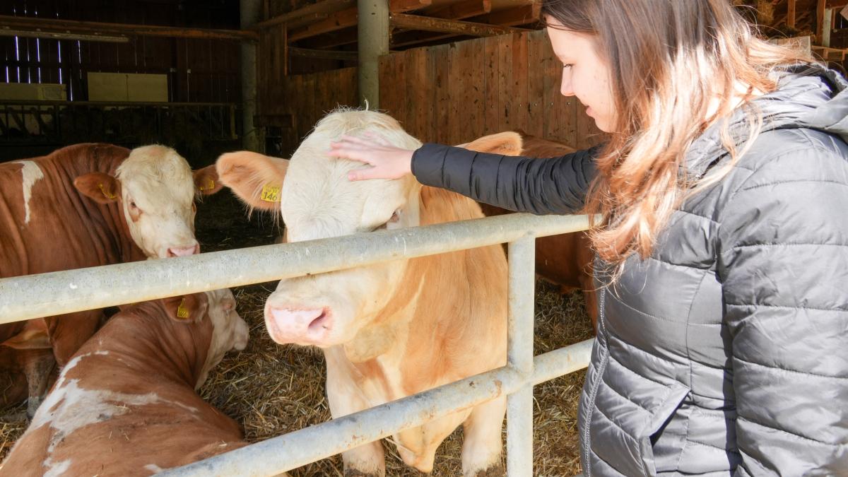 Slika: Projekt MAJ: Okusi Porabja - Mladi zamejci raziskujejo kulinarično dediščino