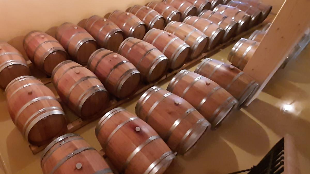 Slika: VINA SVETI MARTIN – Vipavska dolina 