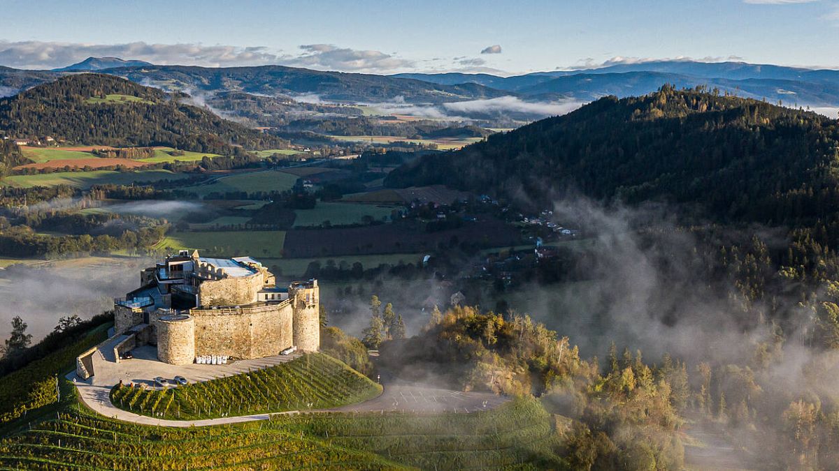 Slika: Alpe-Adria vinski festival & clubbing na prestižnem gradu Taggenbrunn