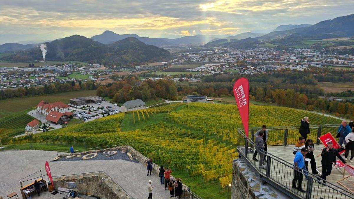 Slika: Poslovno-vinsko druženje na gradu Taggenbrunn navdušilo z duhom regije Alpe-Adria