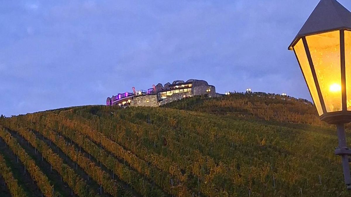 Slika: Poslovno-vinsko druženje na gradu Taggenbrunn navdušilo z duhom regije Alpe-Adria
