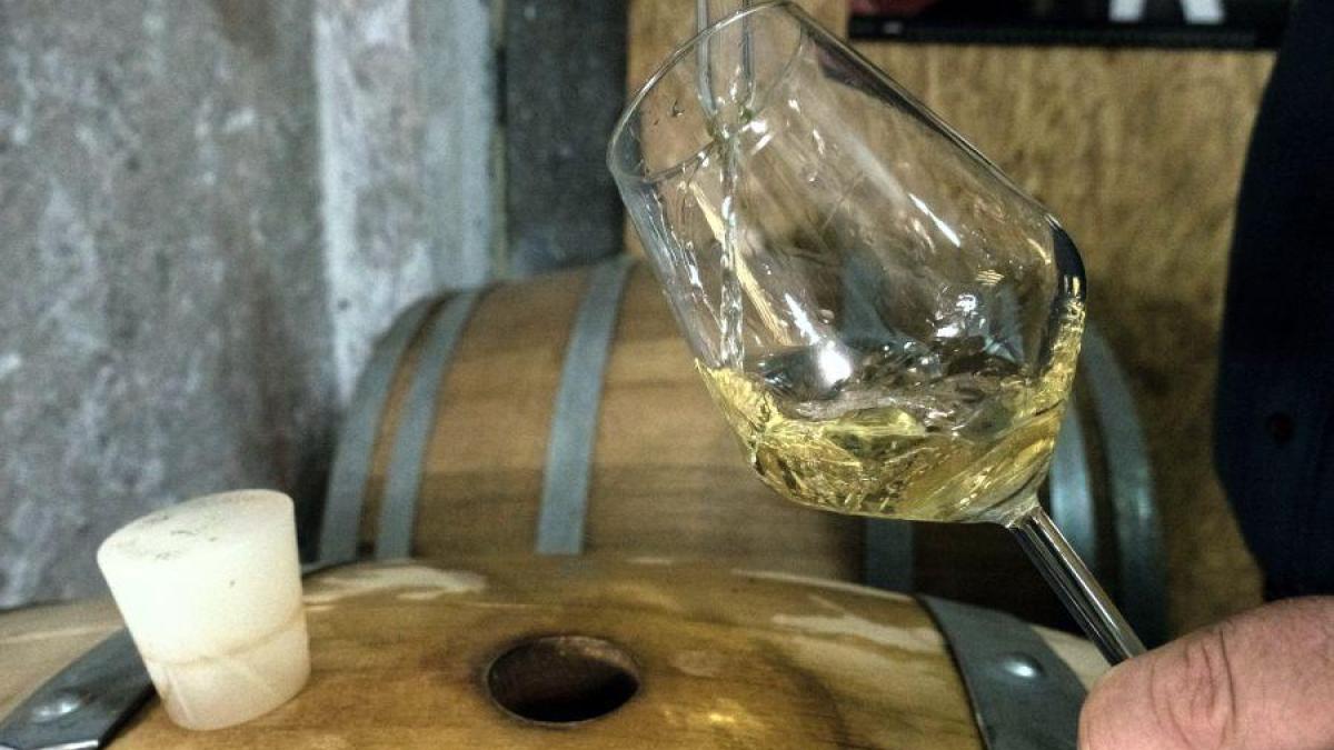 Bild: „Merlot und Malvasia, das ist Poesie.“