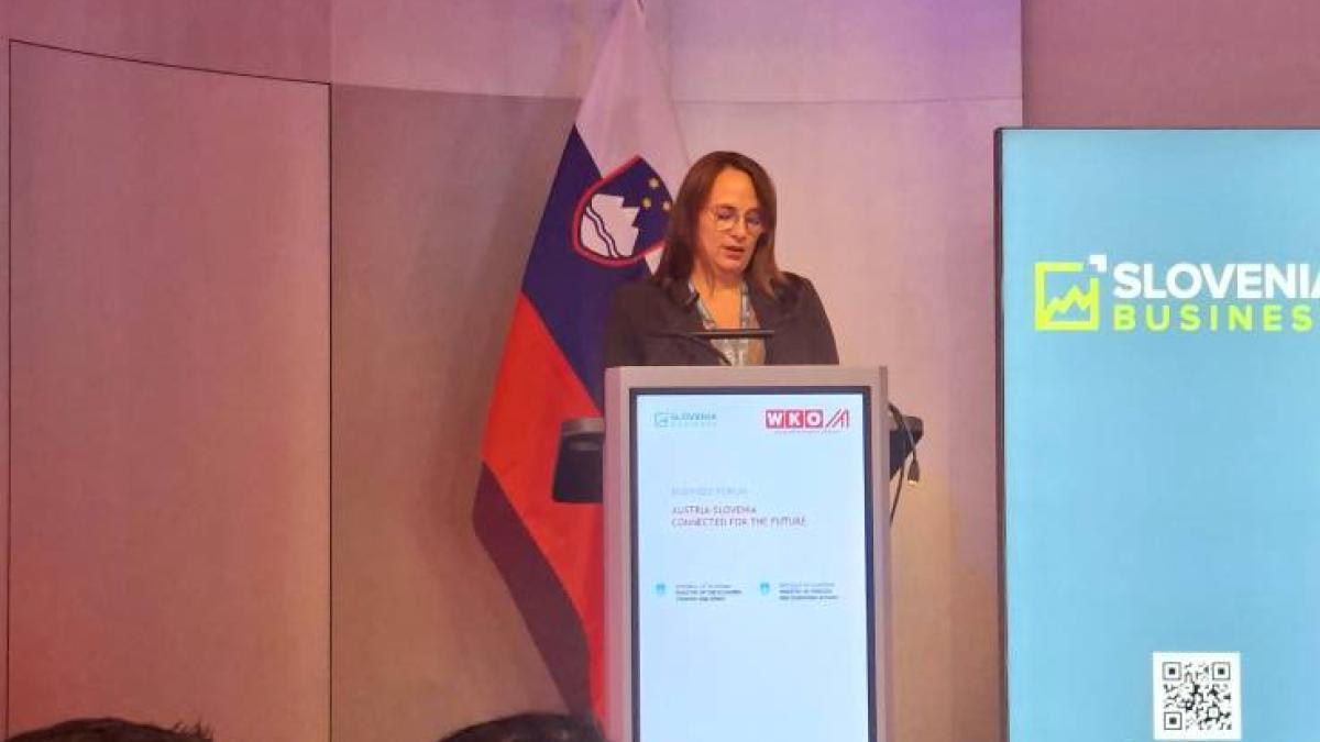 Slika: Poslovni forum Avstrija–Slovenija »Povezani za prihodnost« 