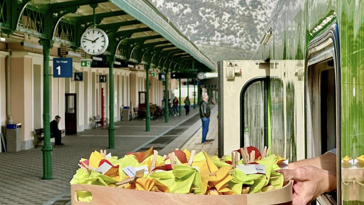 Slika: Čudovita vinska dogodivščina v rajski dolini