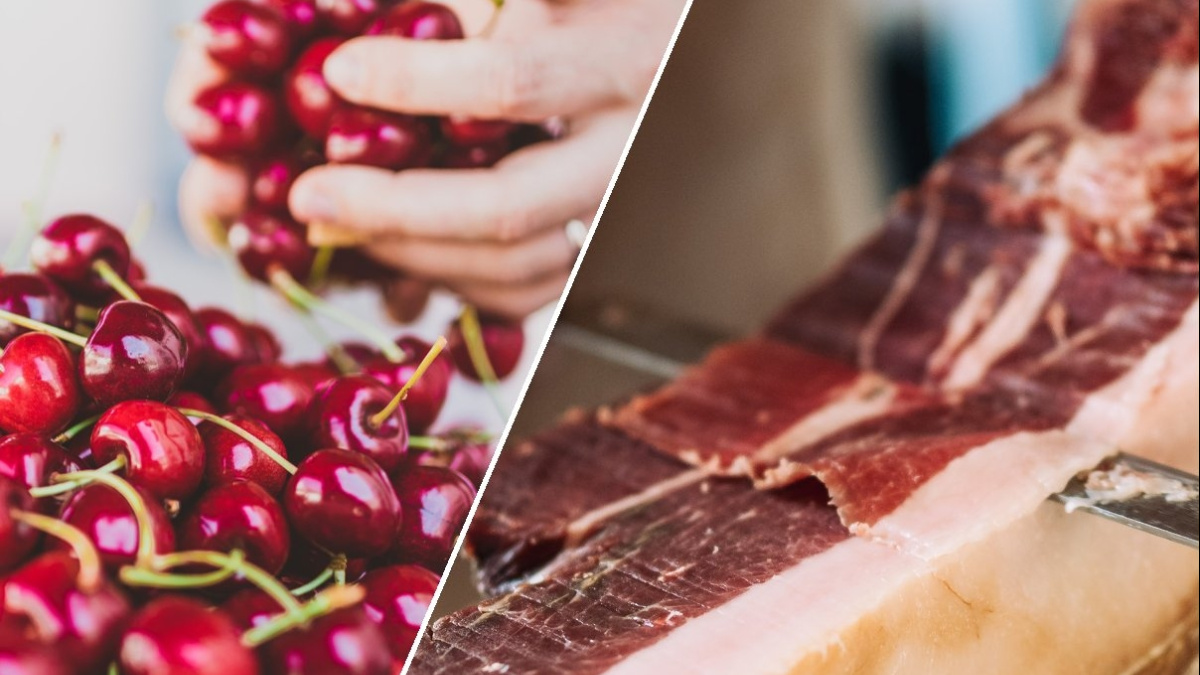 Slika: Goriška Brda – Dežela sonca in užitkov v gosteh v Südparku