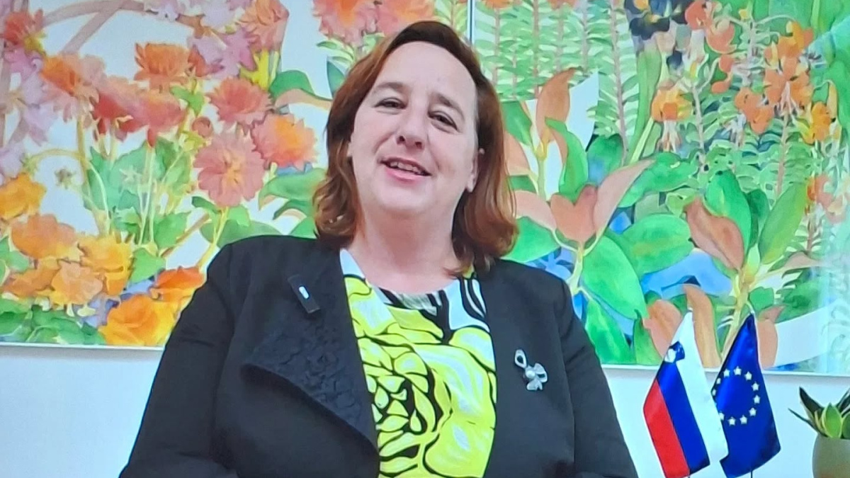 Slika: Okrogla miza Slovenskega gospodarskega foruma Dunaj