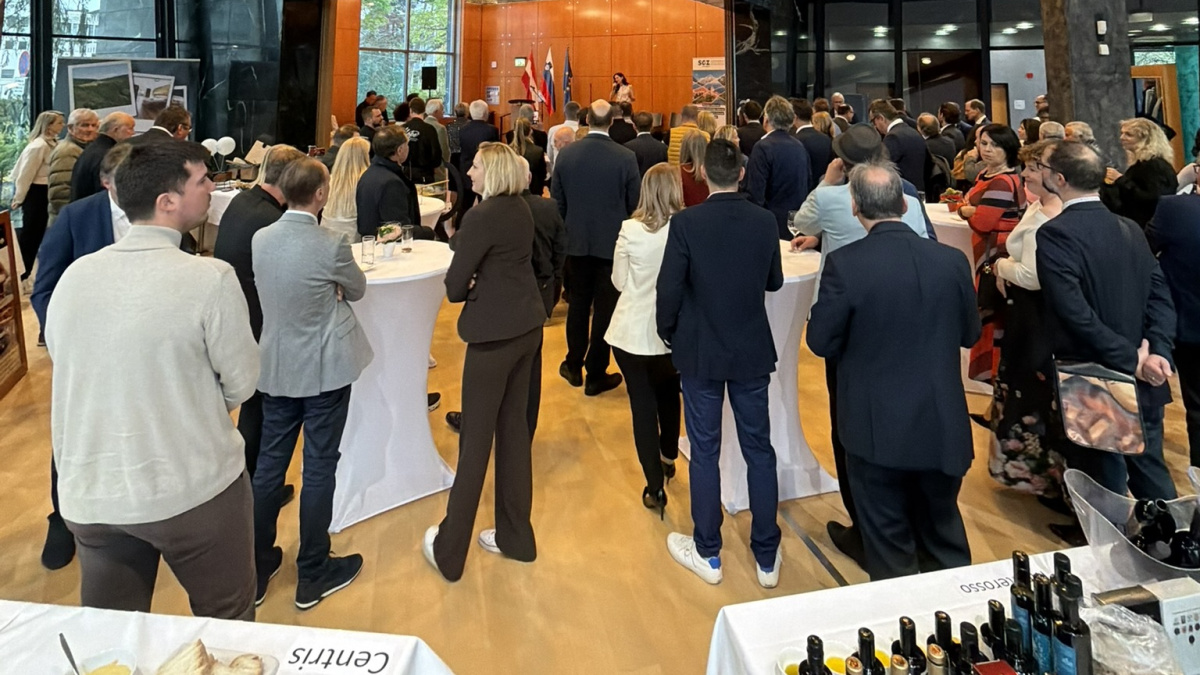 Slika: Slovenska podjetja v Avstriji – pravni okvir zaposlovanja pri čezmejnem delu / Učinkovito čezmejno poslovanje kot ključ konkurenčnosti slovenskih podjetij