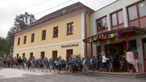 Slika: slika: ORF, Kelih